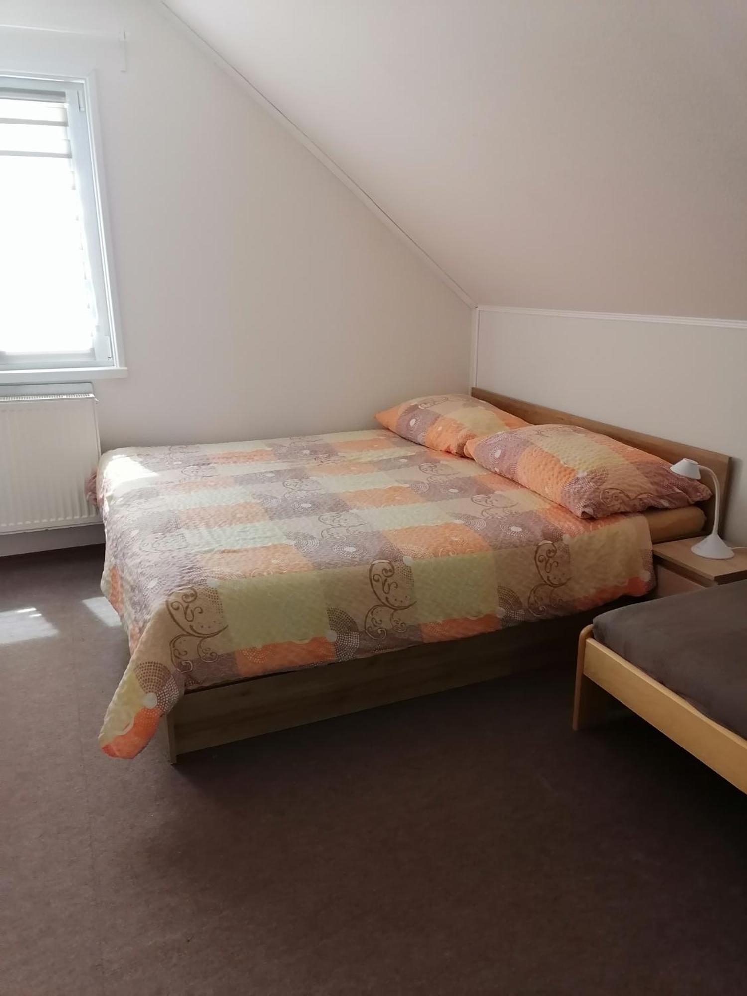 Ubytovani V Apartmanu Mladkov Exterior foto