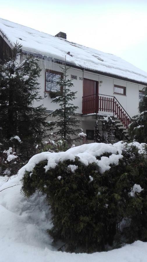Ubytovani V Apartmanu Mladkov Exterior foto